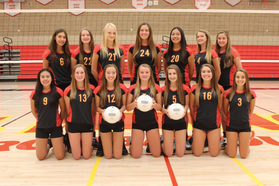 2016 St. Francis Freshmen Volleyball Team: Front Row (L to R):  Claire Bassel, Kaitlyn Back, Ciara Colgan, Devon Laing, Grace Stiveson, Maddori Wright, Nicole Quessenberry. Back Row (L to R): Isabella Silva, Gabriella Perkins, Andralee Harmon, Allison Semon, Elyse Schoenig, Megan Christman, Kate Fitzgerald.